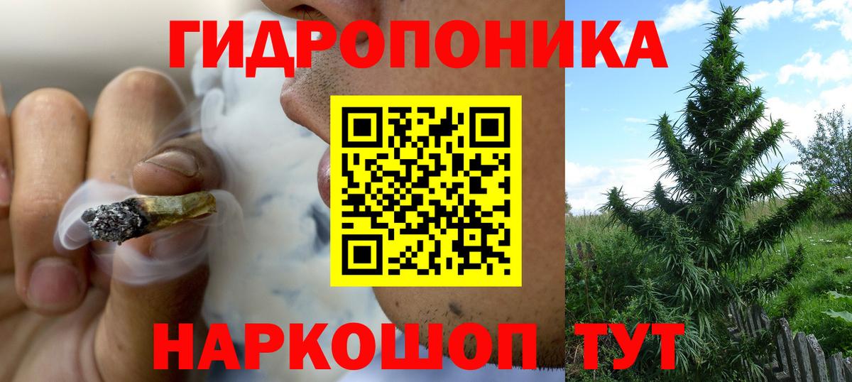 Шишки марихуана VHQ  Вход с VPN  Бошки марихуана планчик  Волжский 